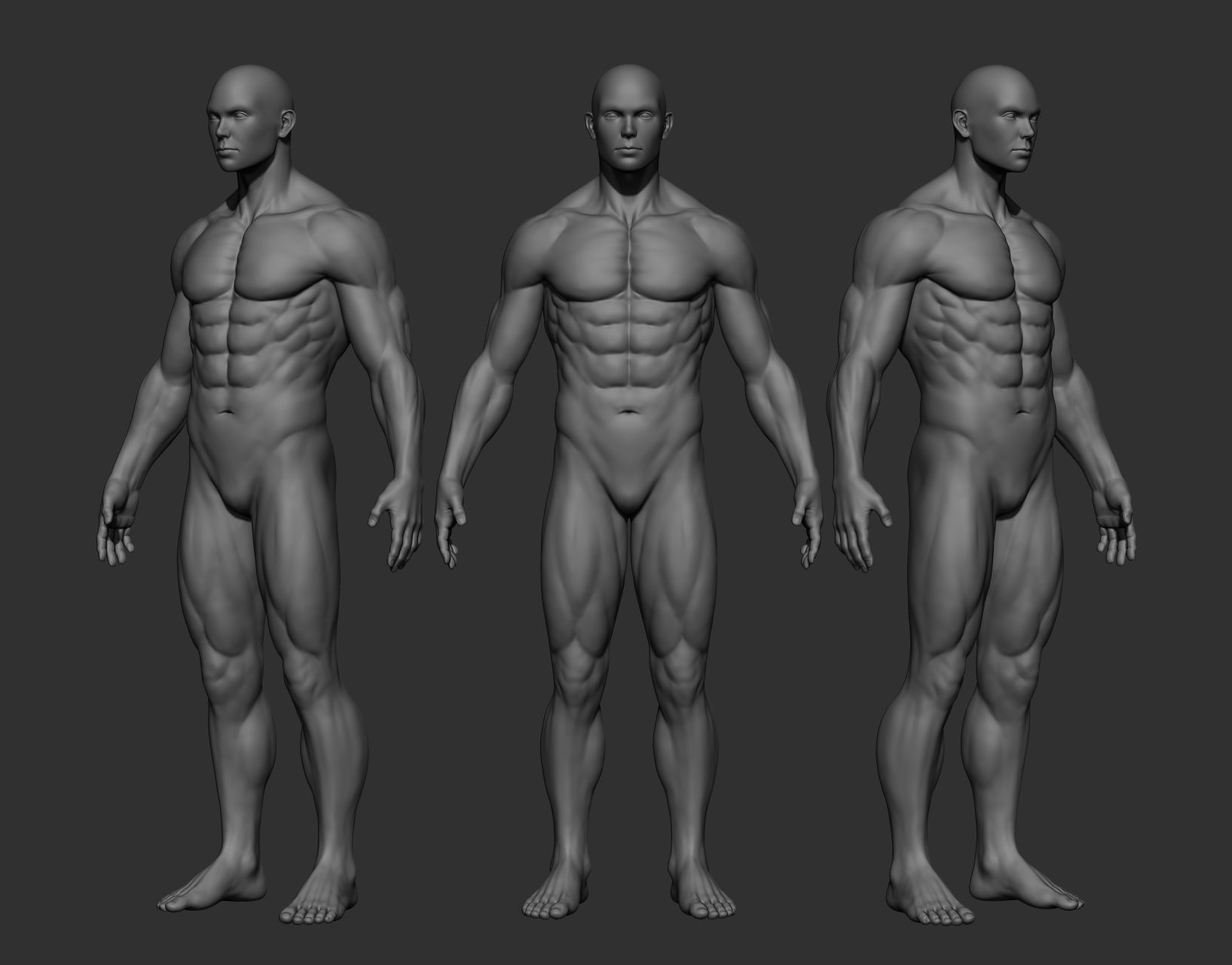 Realistic Male Full Body Sculpt Free 3D model_27