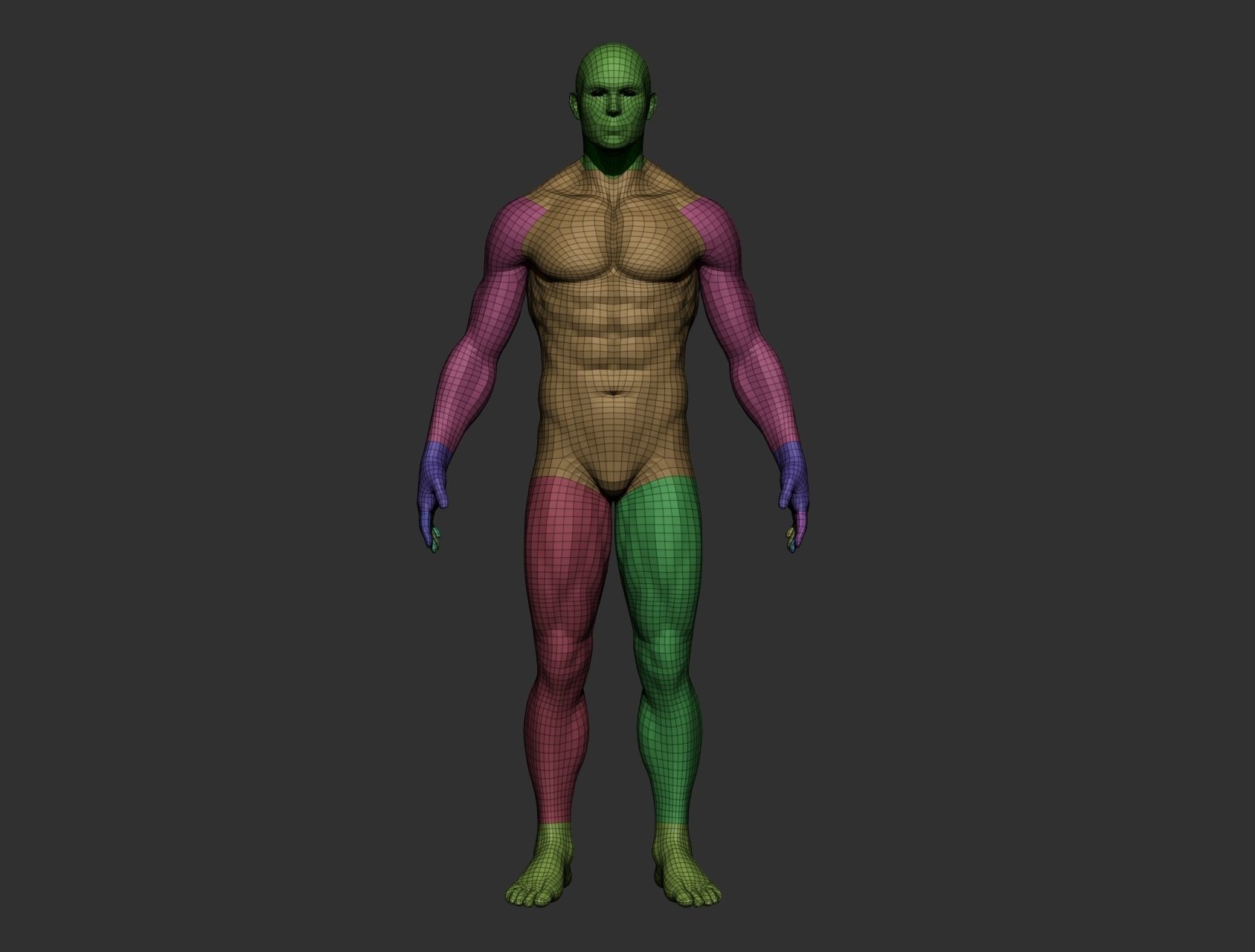 Realistic Male Full Body Sculpt Free 3D model_23