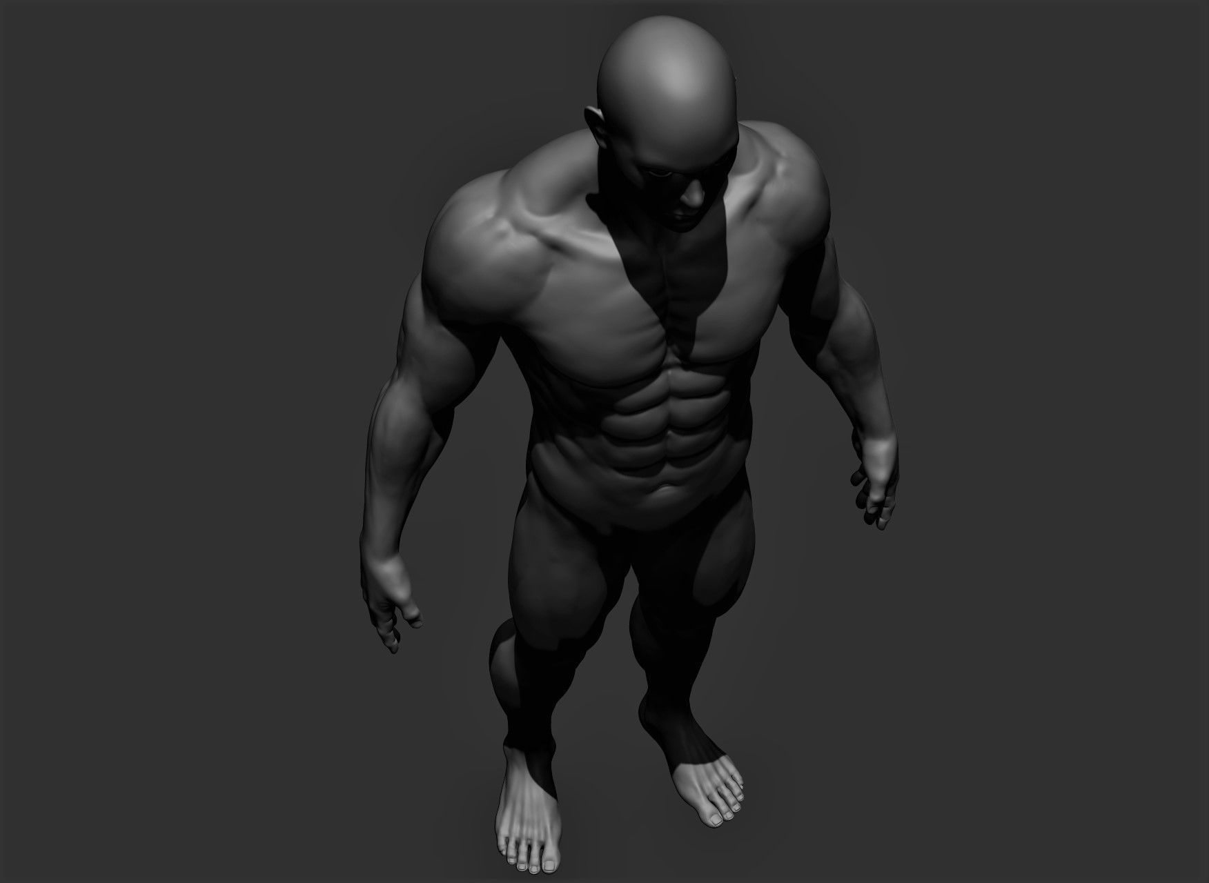 Realistic Male Full Body Sculpt Free 3D model_13