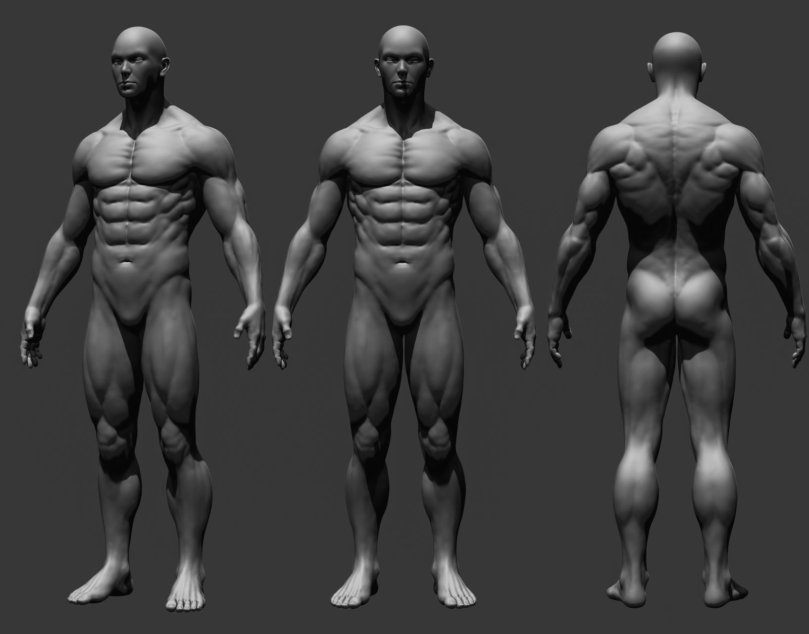 Realistic Male Full Body Sculpt Free 3D model_1
