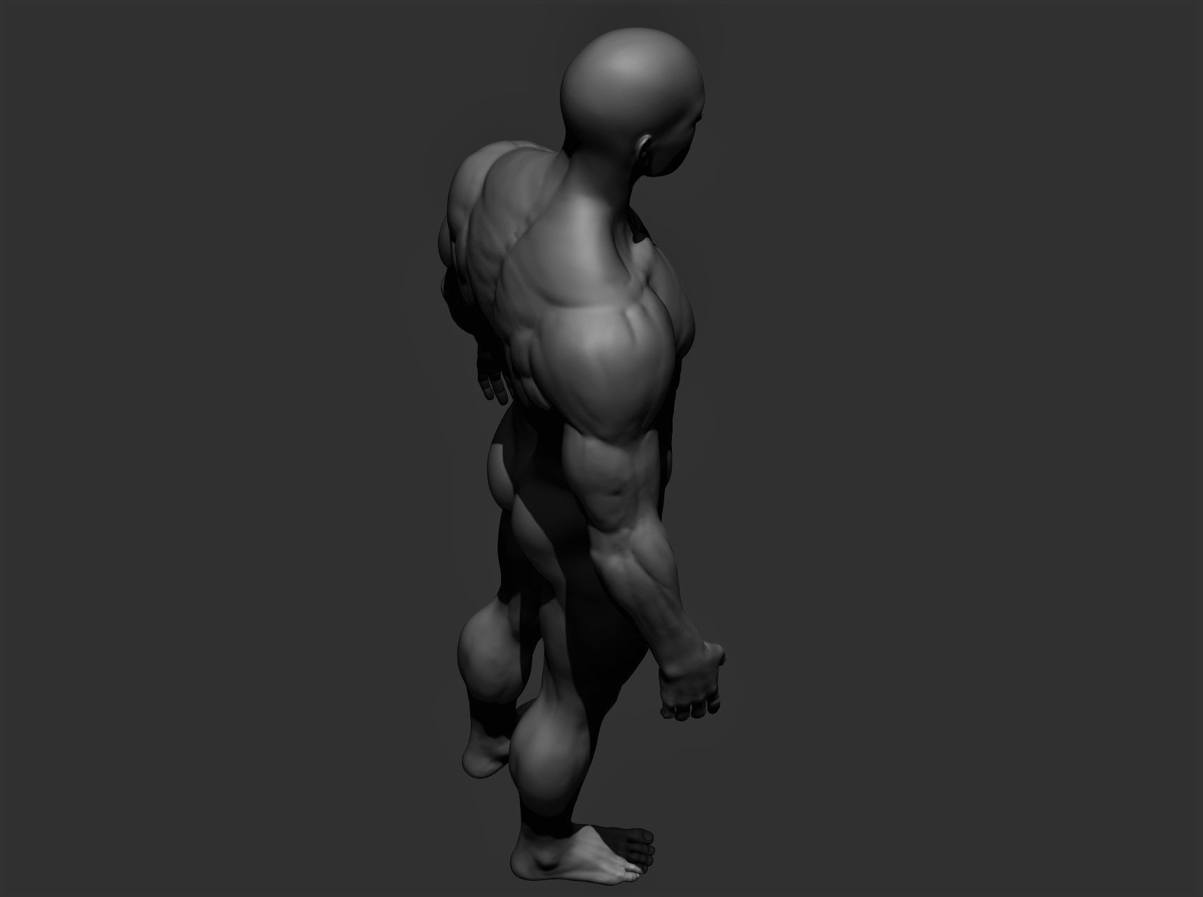 Realistic Male Full Body Sculpt Free 3D model_15