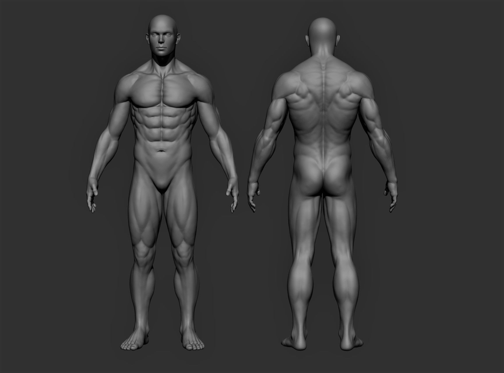 Realistic Male Full Body Sculpt Free 3D model_11