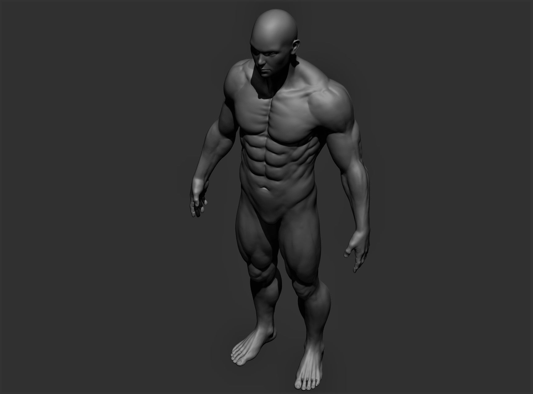 Realistic Male Full Body Sculpt Free 3D model_18