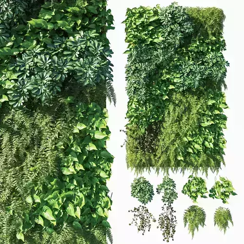 Vertical garden Green wall 03 3D model