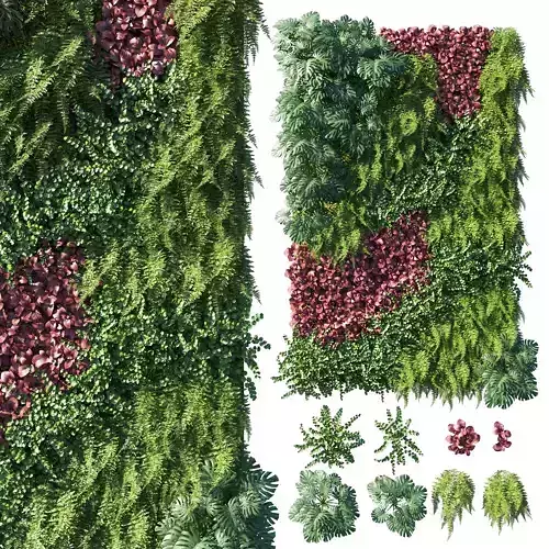 Vertical garden  Green wall 06