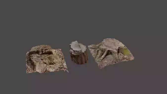 3d tree stump collection