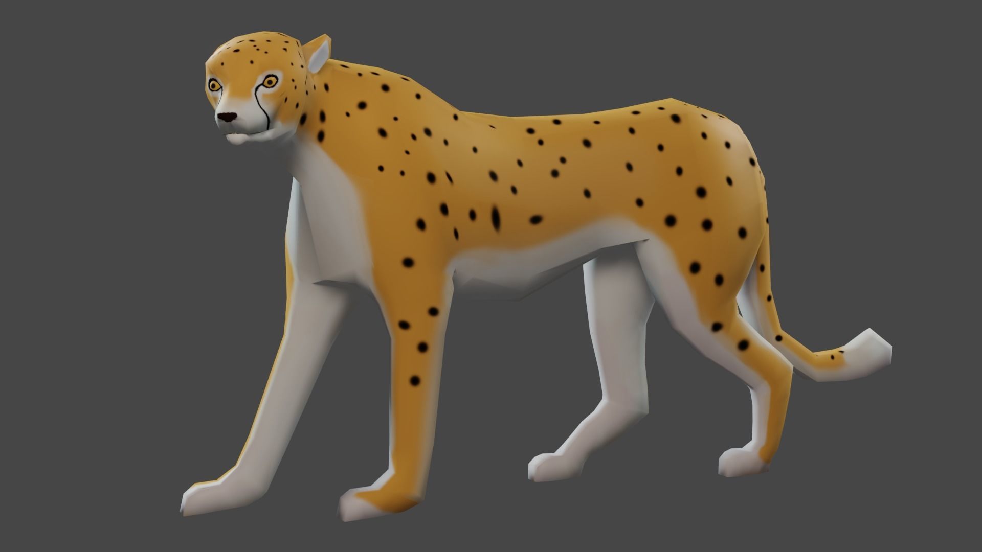 Low poly Cheetah Rigged 3D model Low-poly 3D model_3