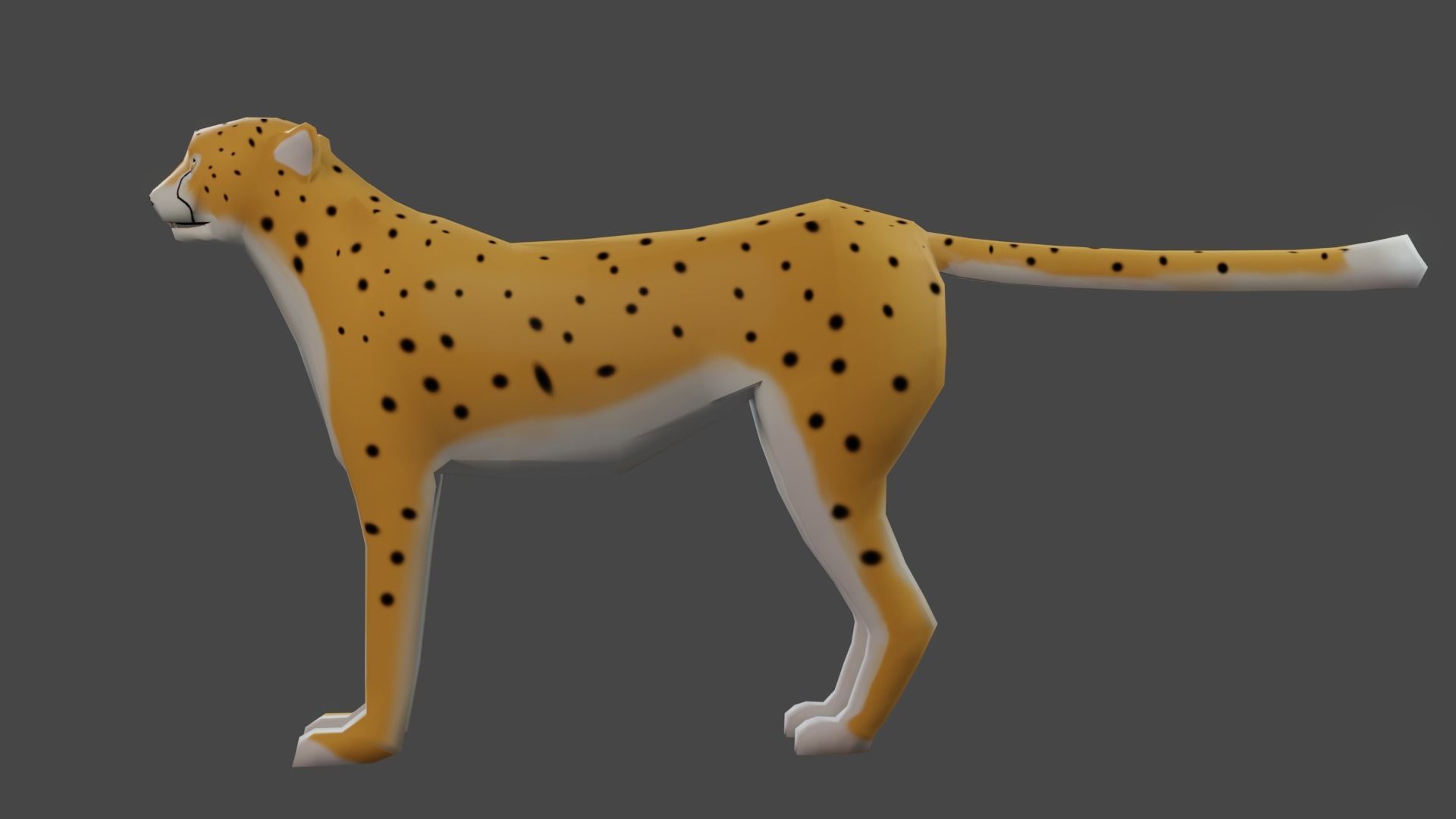 Low poly Cheetah Rigged 3D model Low-poly 3D model_4