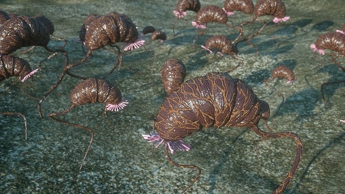 Alien plant Low-poly 3D model