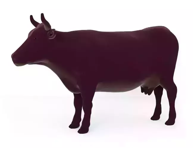 Cow full body