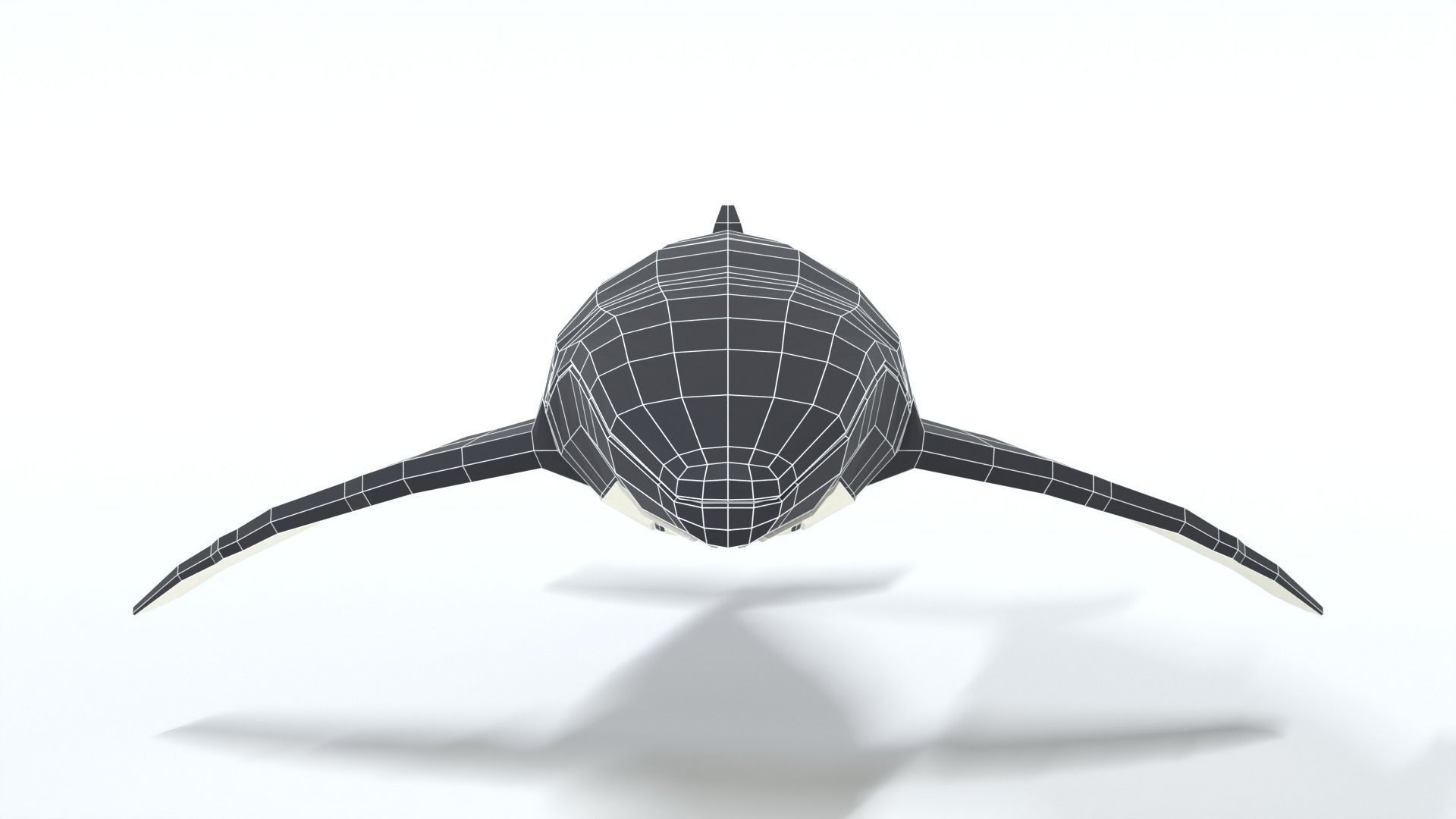 Low Poly Cartoon Humpback Whale Low-poly 3D model_17