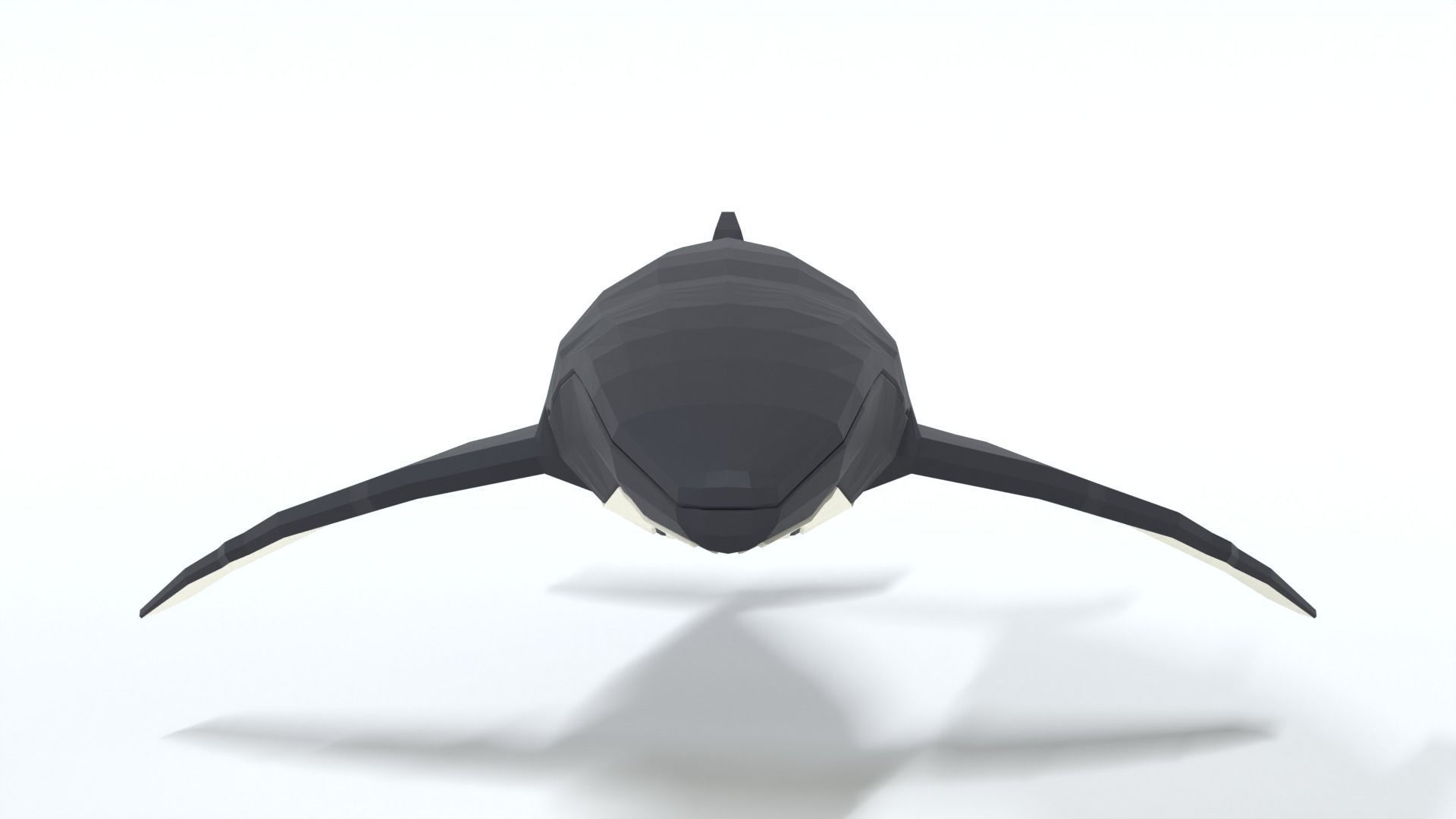 Low Poly Cartoon Humpback Whale Low-poly 3D model_7