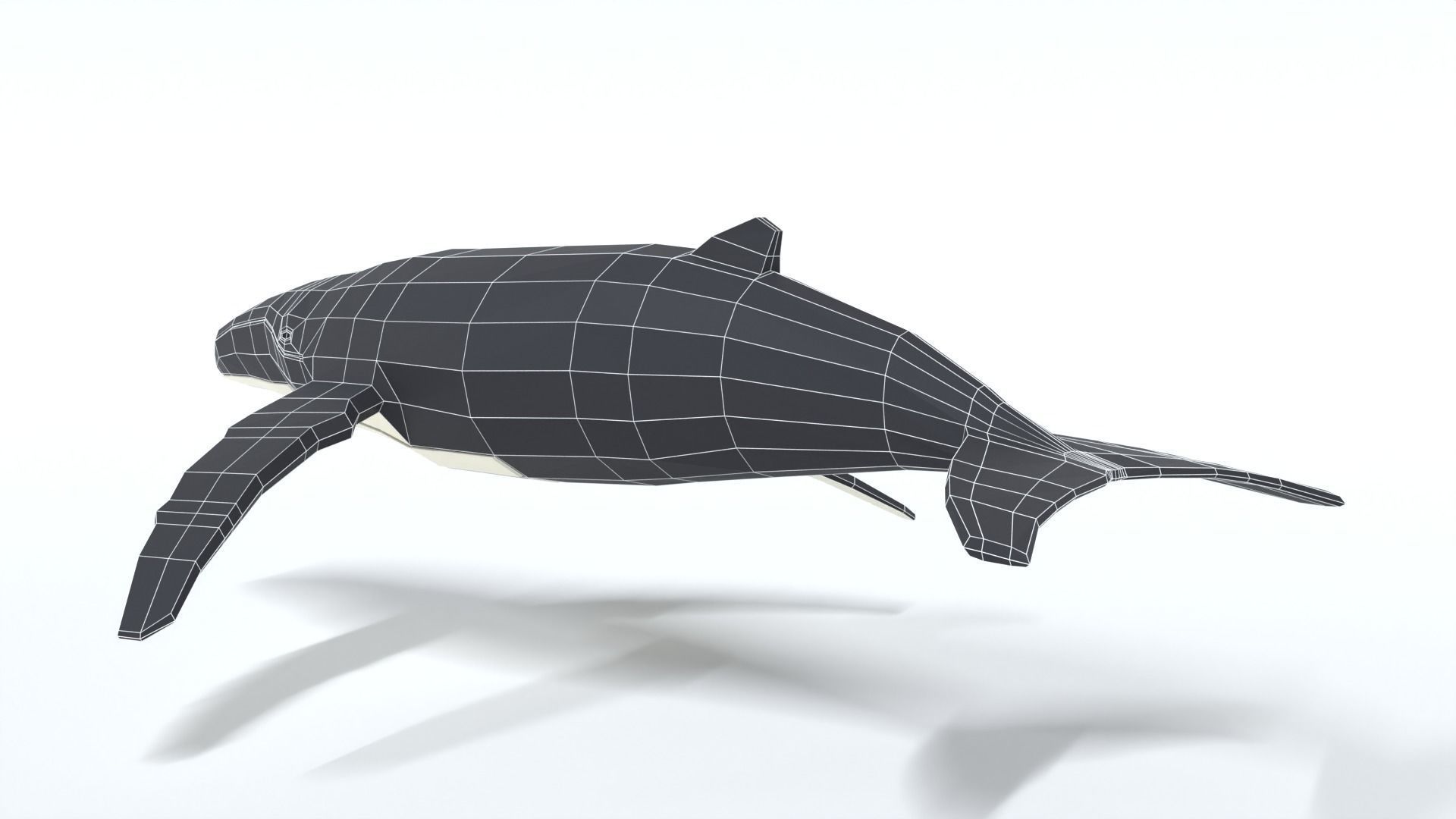 Low Poly Cartoon Humpback Whale Low-poly 3D model_12