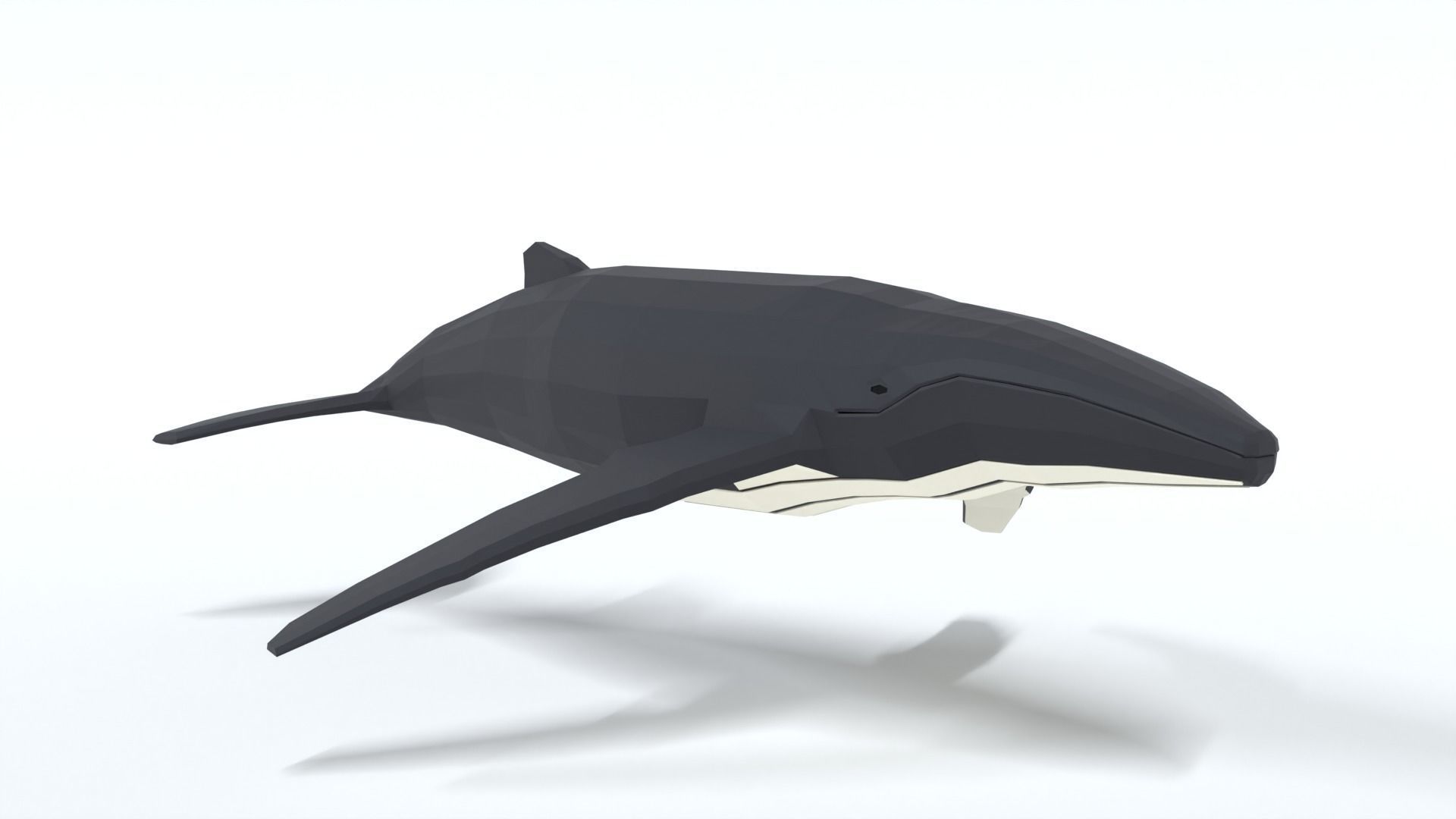 Low Poly Cartoon Humpback Whale Low-poly 3D model_6