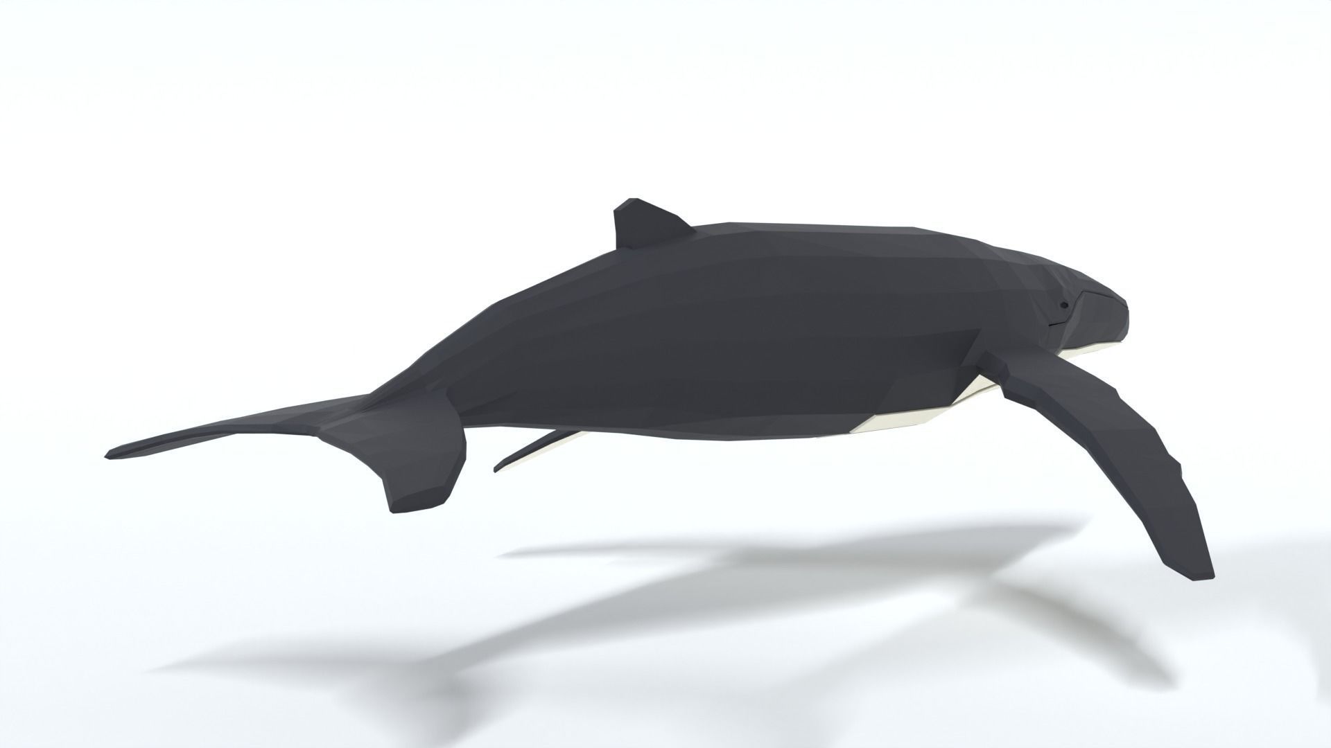 Low Poly Cartoon Humpback Whale Low-poly 3D model_4