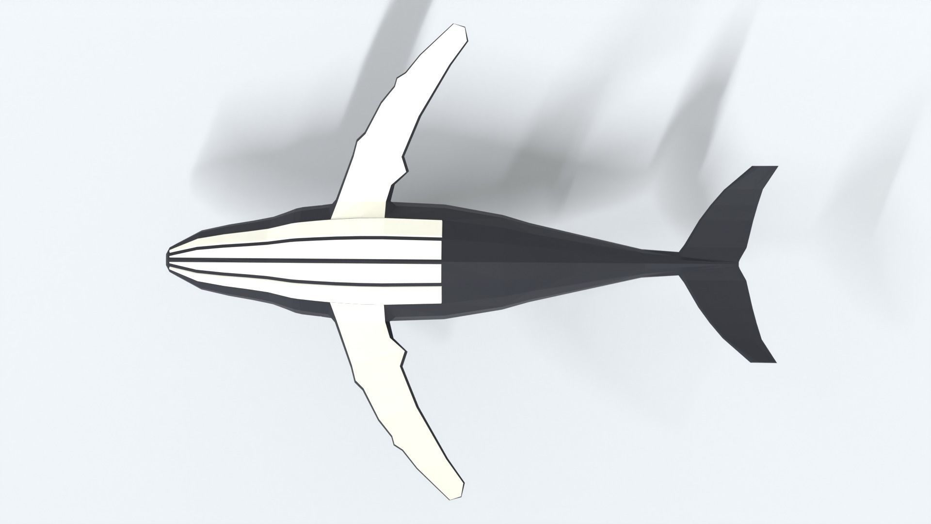 Low Poly Cartoon Humpback Whale Low-poly 3D model_9