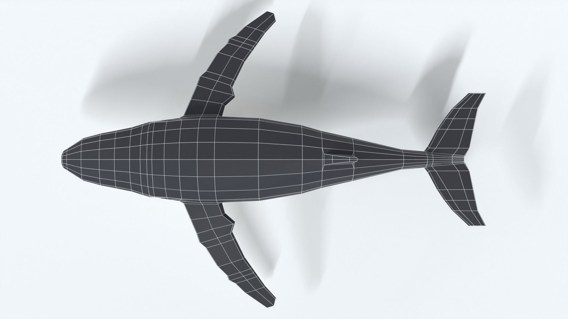 Low Poly Cartoon Humpback Whale Low-poly 3D model_18