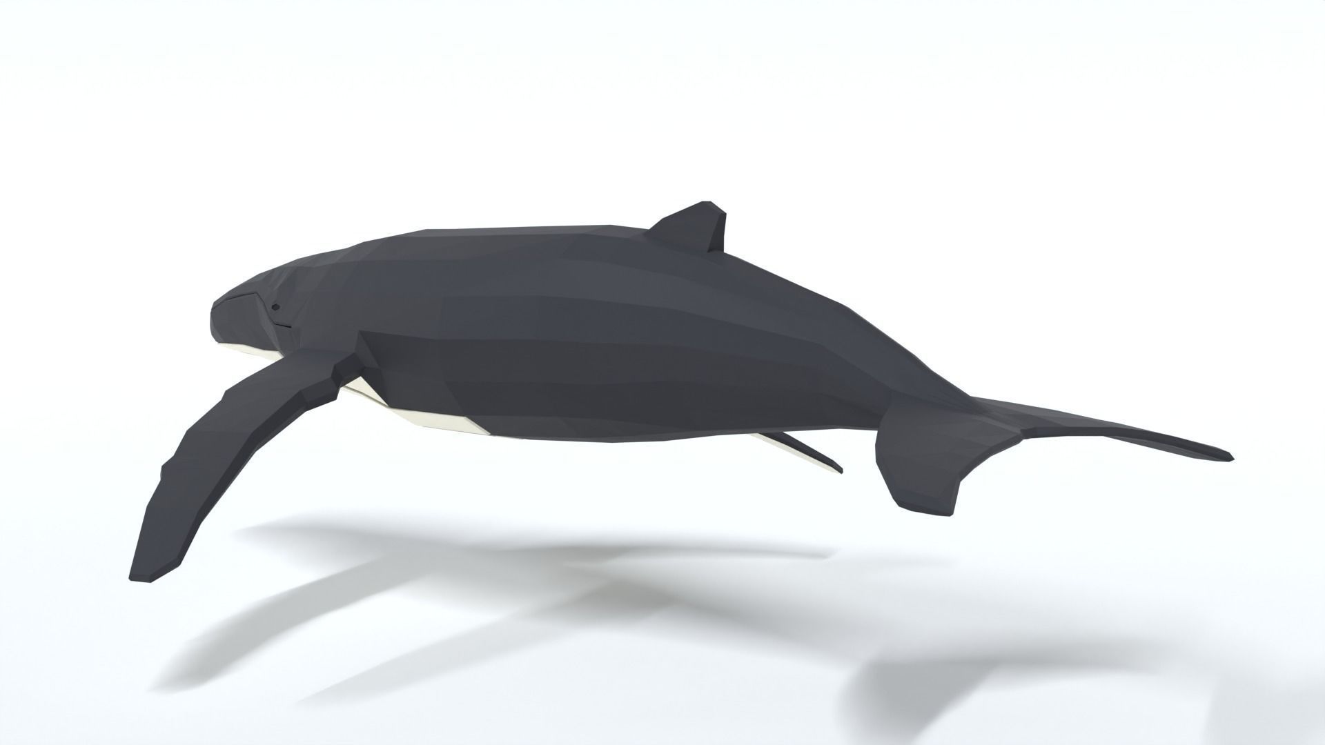 Low Poly Cartoon Humpback Whale Low-poly 3D model_2