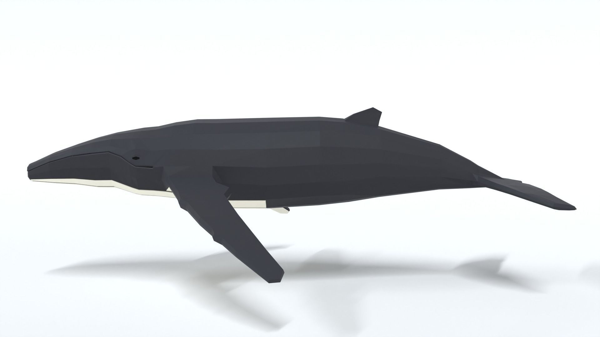 Low Poly Cartoon Humpback Whale Low-poly 3D model_1