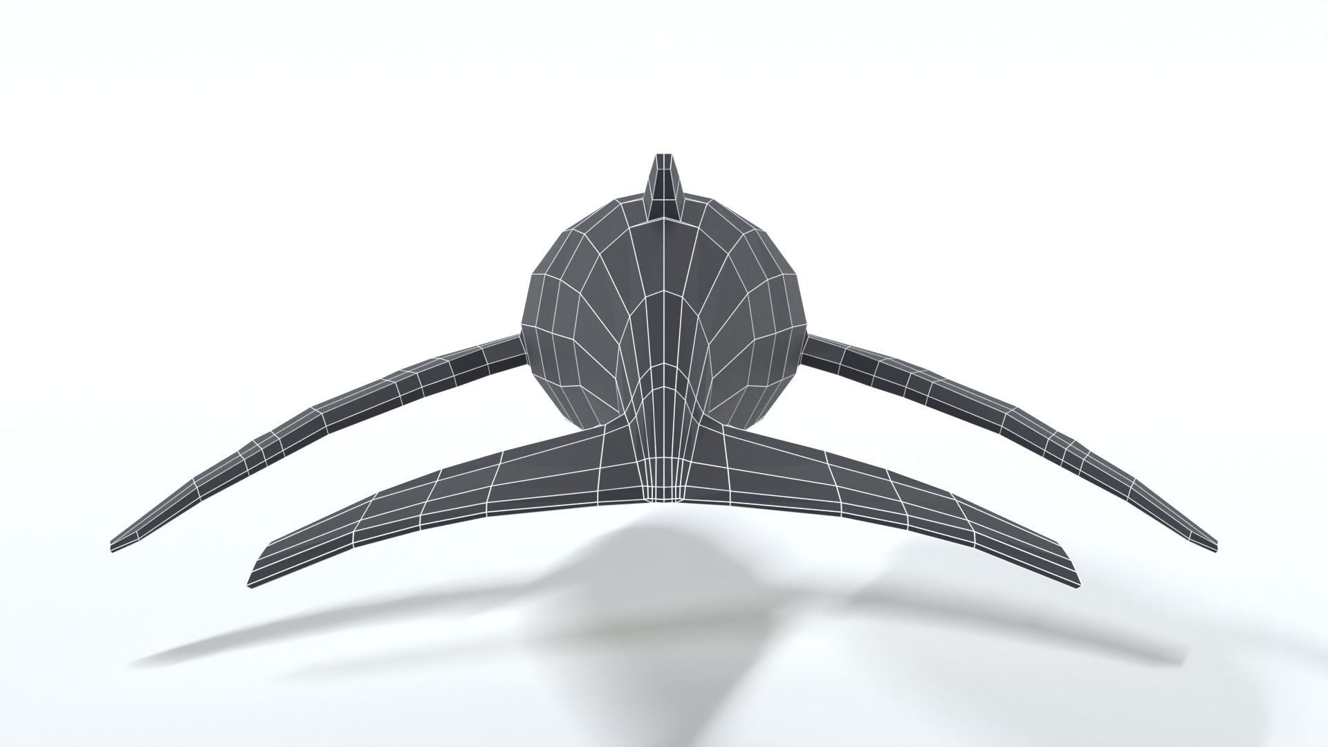 Low Poly Cartoon Humpback Whale Low-poly 3D model_13