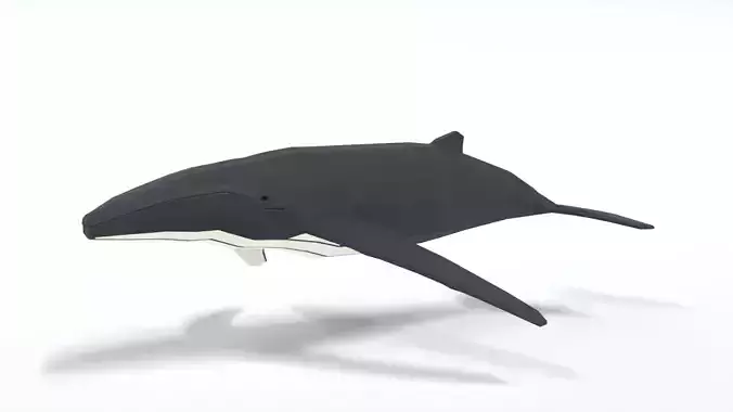 Low Poly Cartoon Humpback Whale Low-poly 3D model