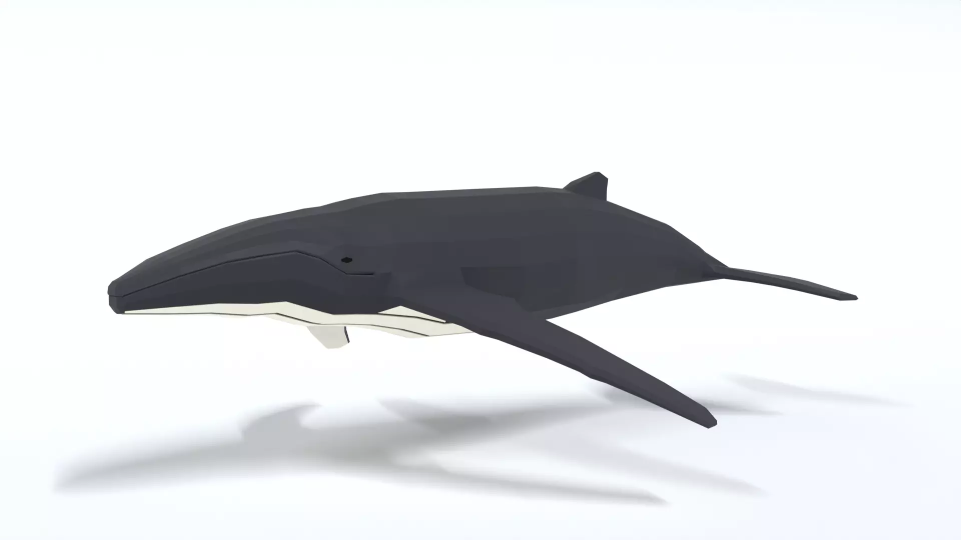 Low Poly Cartoon Humpback Whale Low-poly 3D model_0