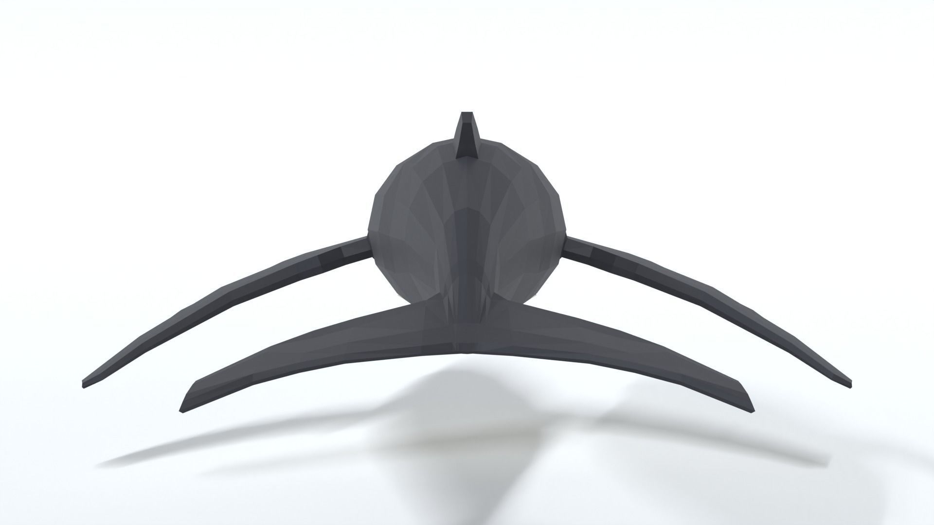 Low Poly Cartoon Humpback Whale Low-poly 3D model_3