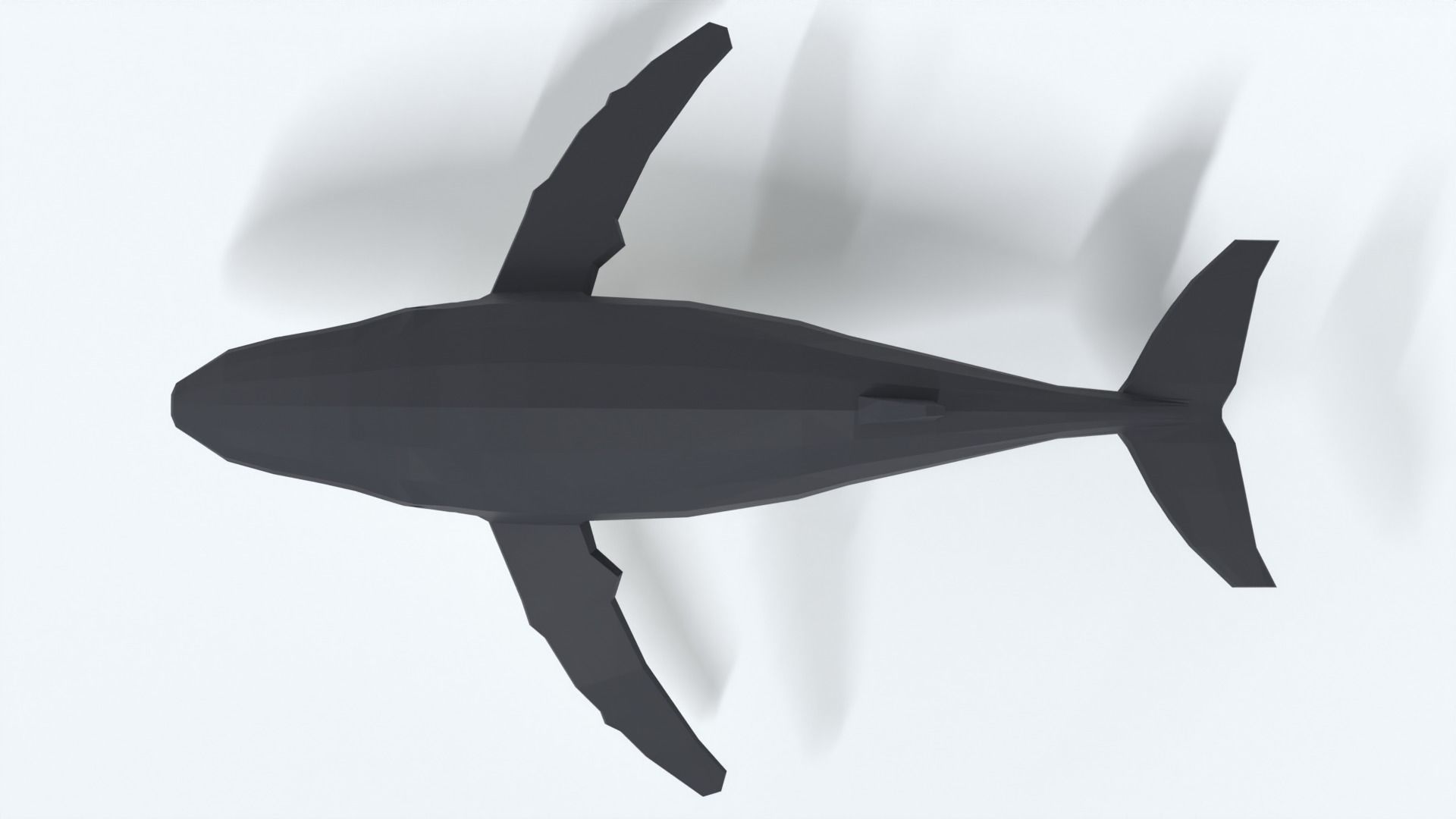 Low Poly Cartoon Humpback Whale Low-poly 3D model_8