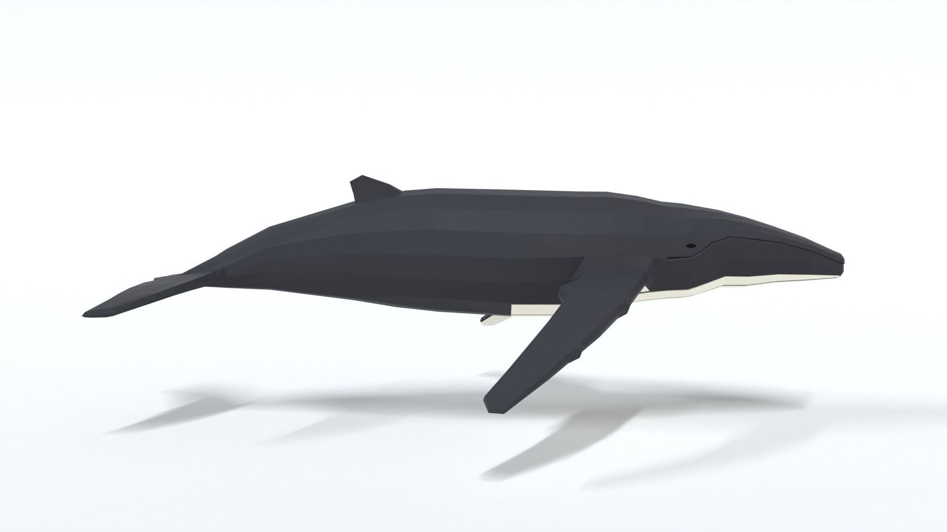 Low Poly Cartoon Humpback Whale Low-poly 3D model_5