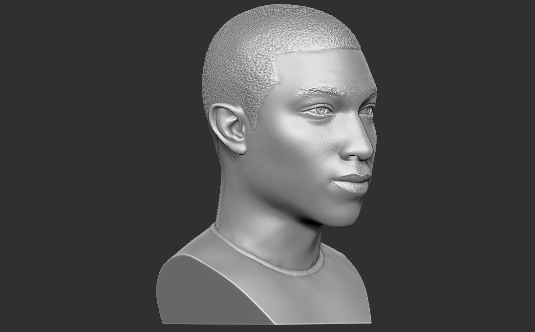 Pharrell Williams bust 3D printing ready stl obj formats 3D print model_14