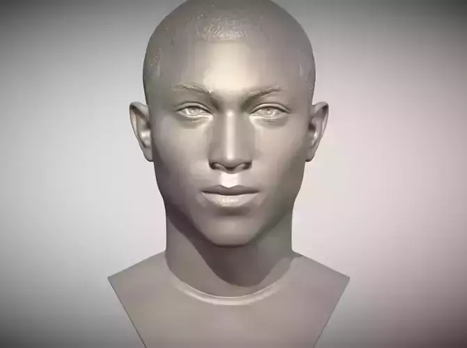 Pharrell Williams bust 3D printing ready stl obj formats 3D print model