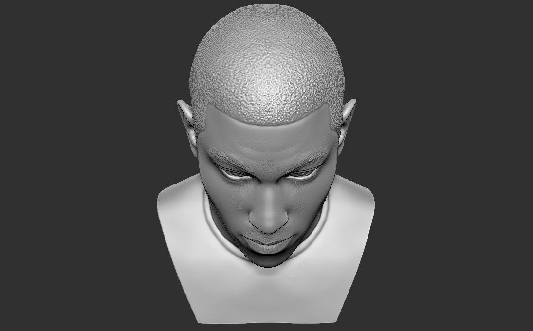 Pharrell Williams bust 3D printing ready stl obj formats 3D print model_20
