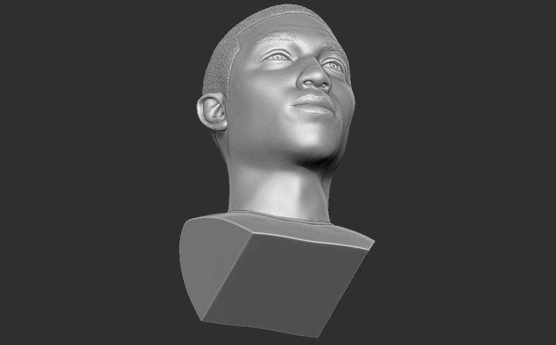Pharrell Williams bust 3D printing ready stl obj formats 3D print model_30