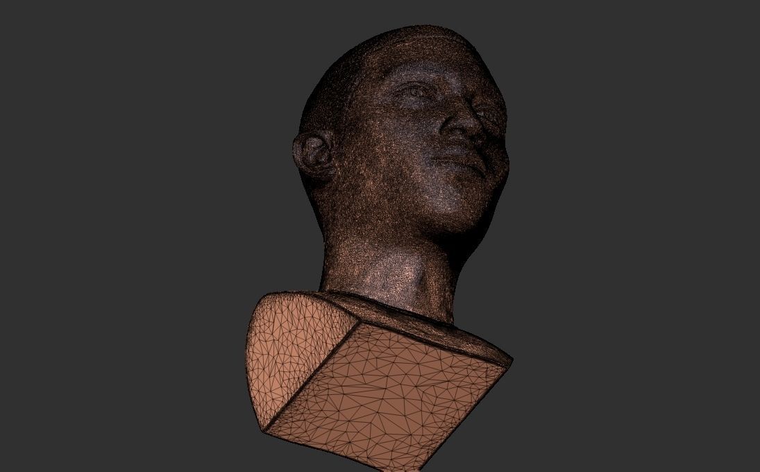 Pharrell Williams bust 3D printing ready stl obj formats 3D print model_35