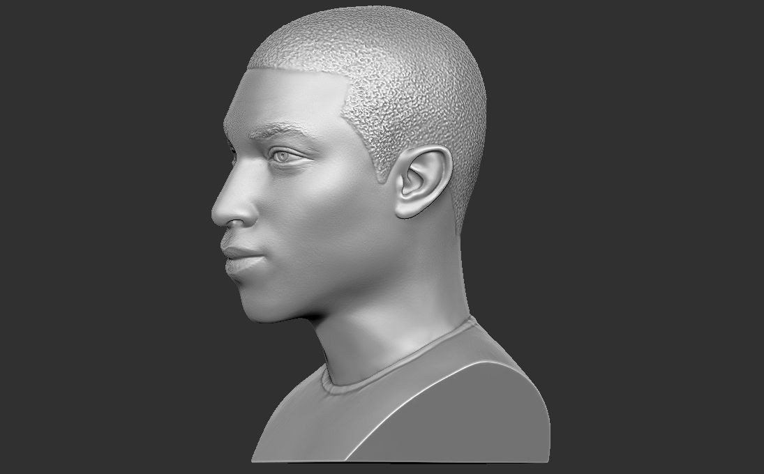 Pharrell Williams bust 3D printing ready stl obj formats 3D print model_8