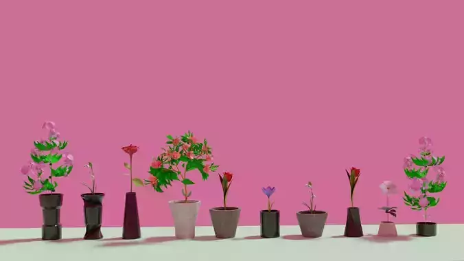 Flower Pots 10 Types