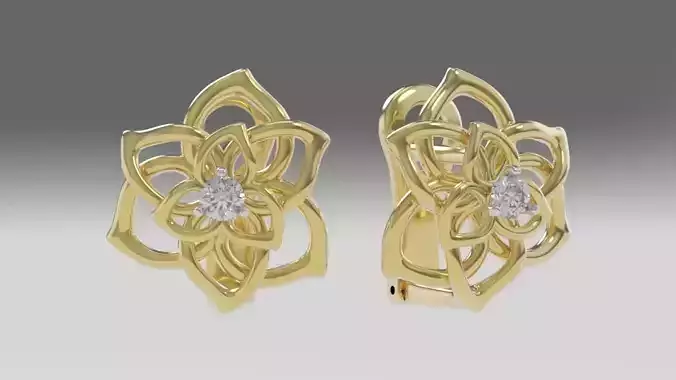 earrings with stones