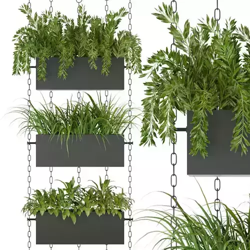 Collection plant vol 85