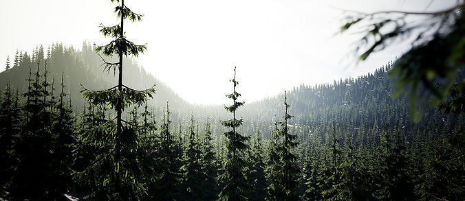 YarovoiTreesPack pine forest in mountains Low-poly 3D model