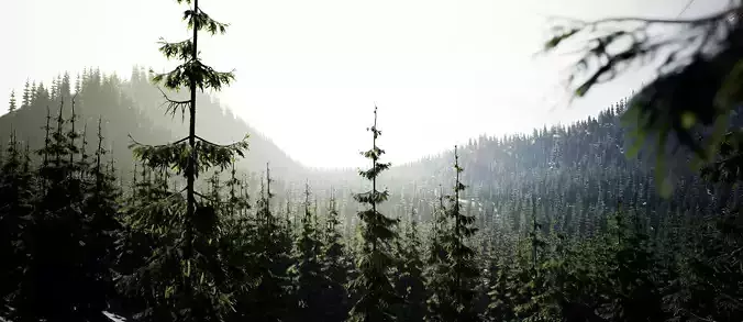 YarovoiTreesPack pine forest in mountains Low-poly 3D model