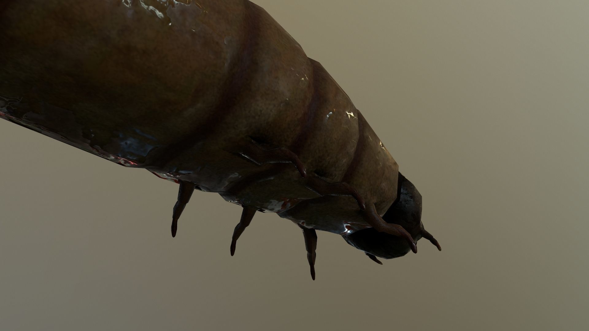 Worm Maggot Low-poly 3D model_3