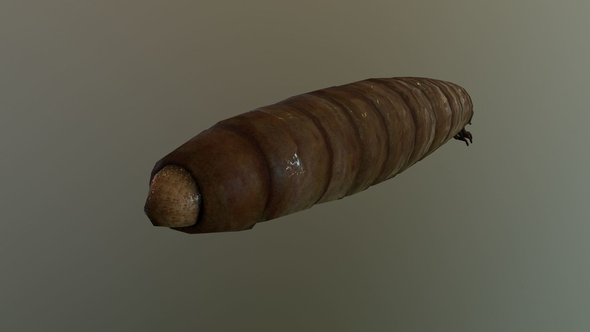 Worm Maggot Low-poly 3D model_4