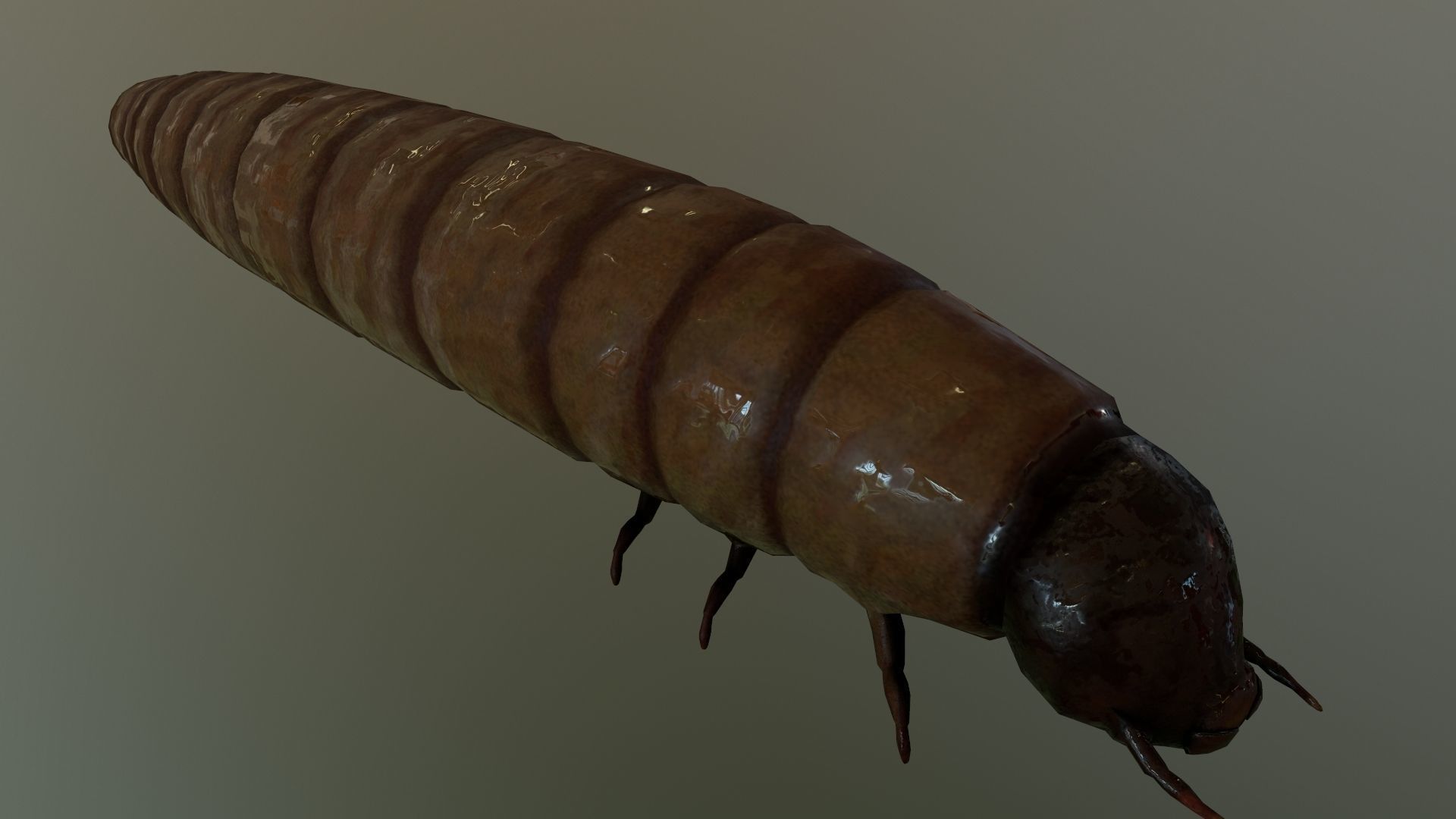 Worm Maggot Low-poly 3D model_5