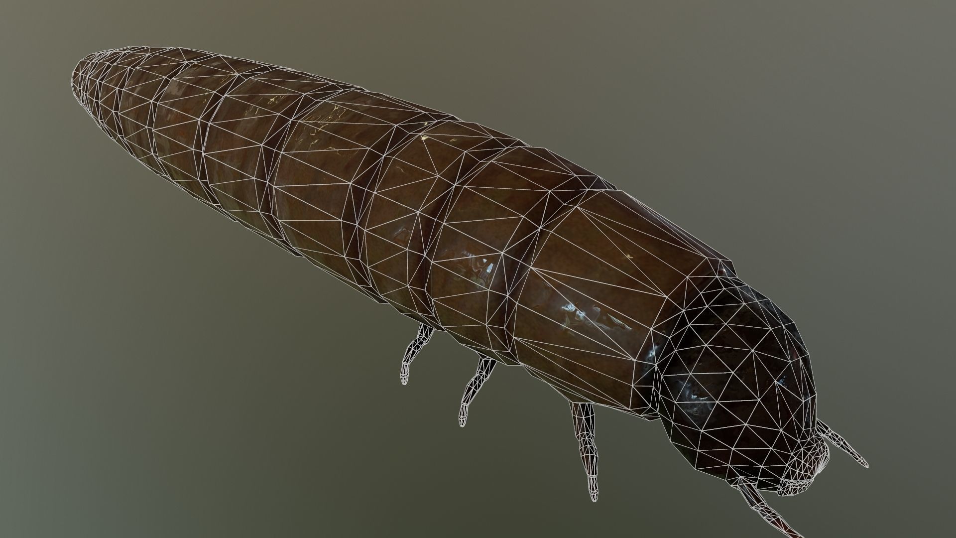 Worm Maggot Low-poly 3D model_6