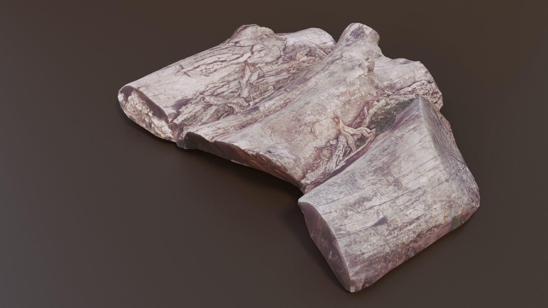 Rotten Logs Low-poly 3D model_5