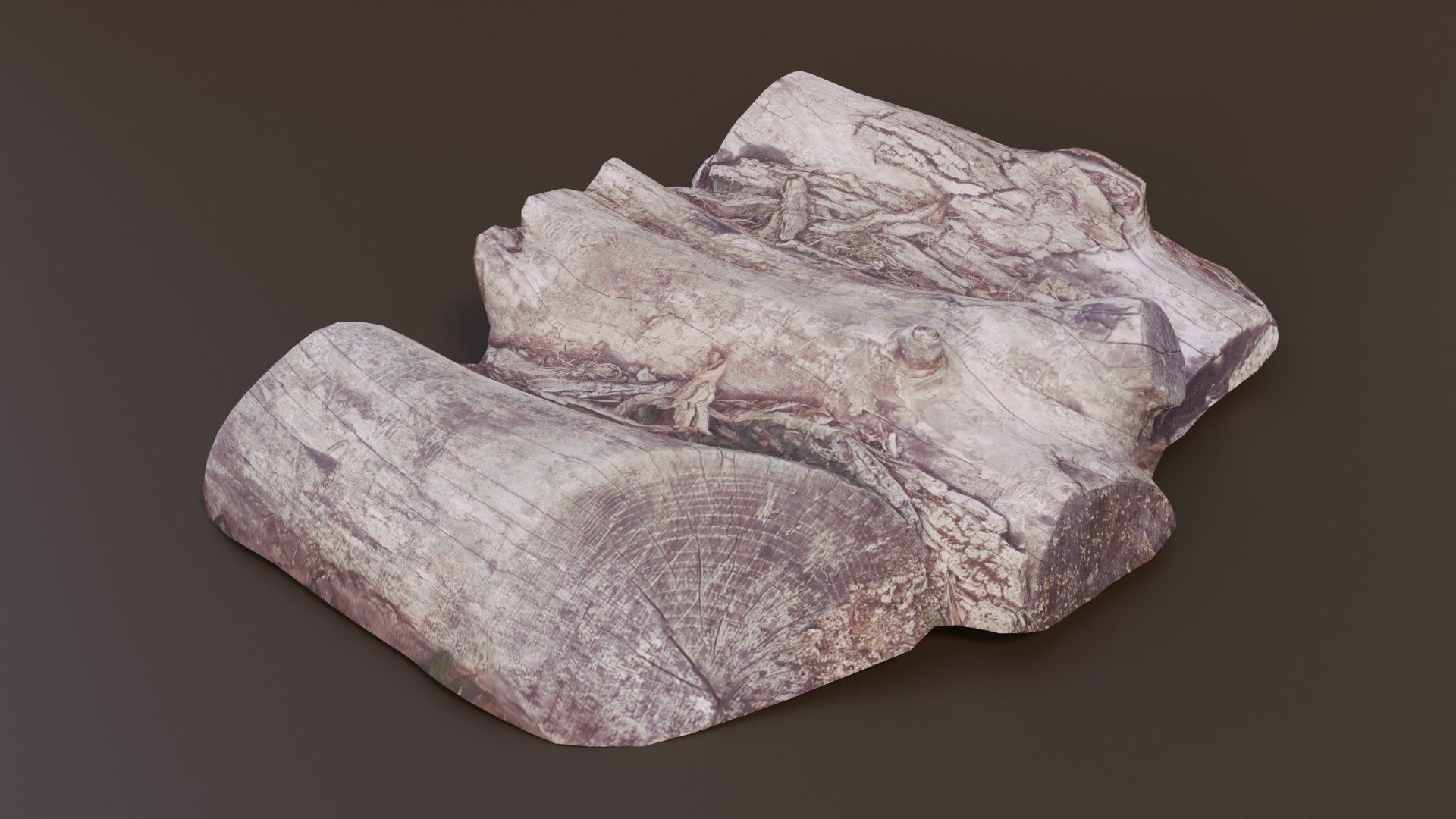 Rotten Logs Low-poly 3D model_3