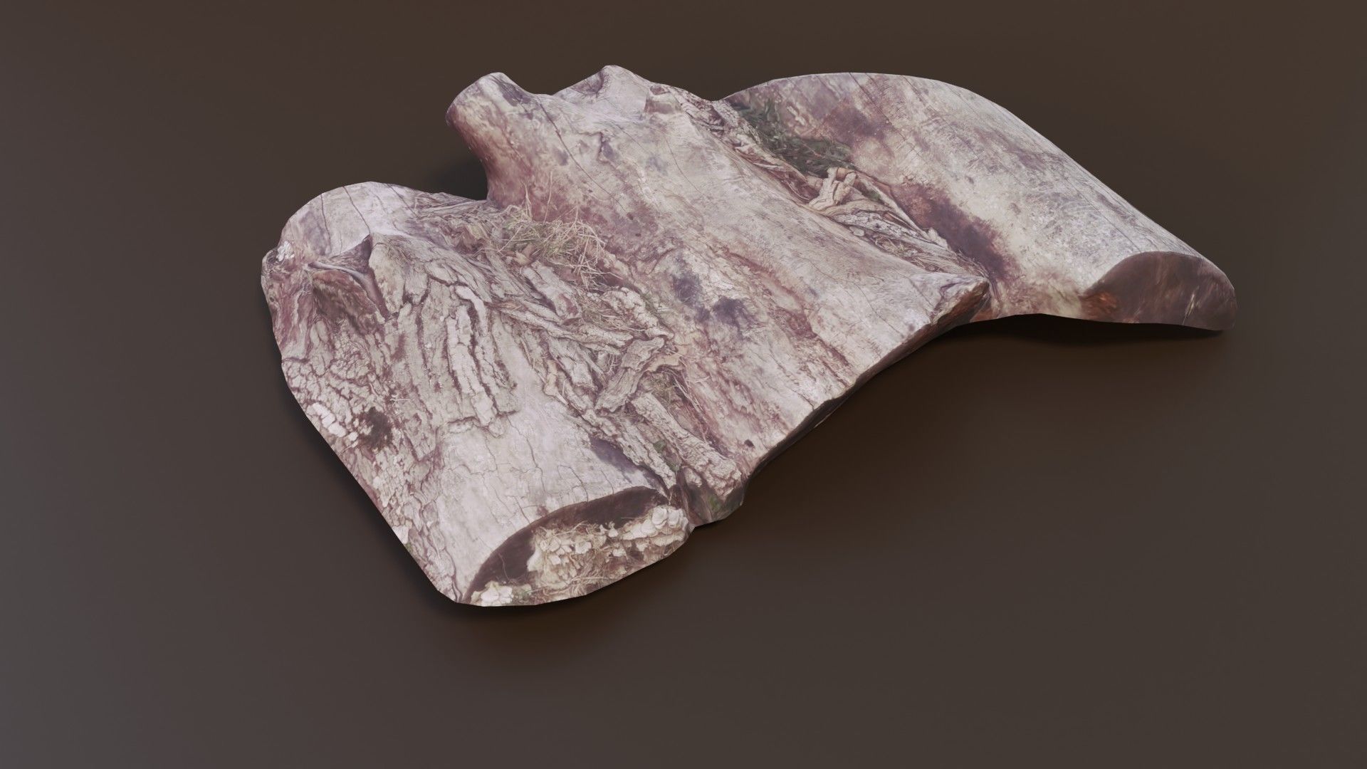 Rotten Logs Low-poly 3D model_7