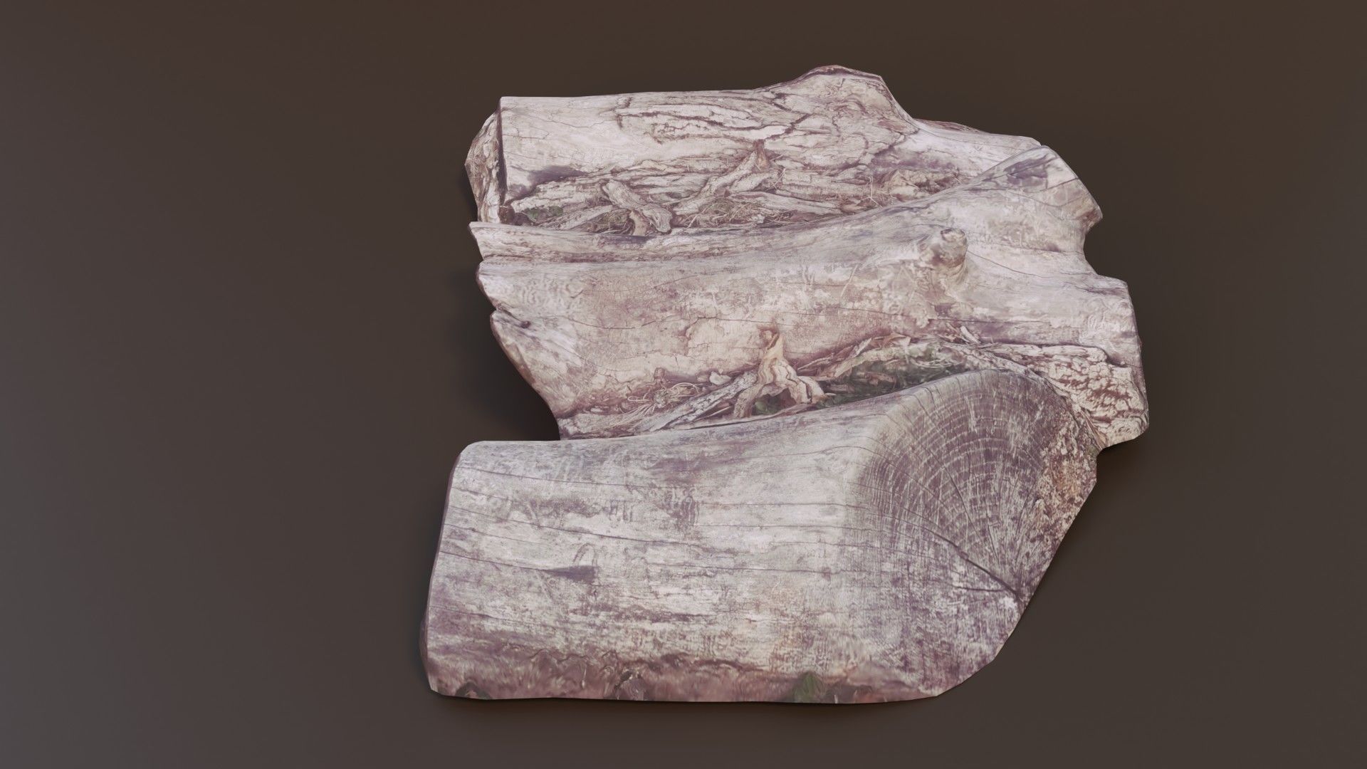 Rotten Logs Low-poly 3D model_4