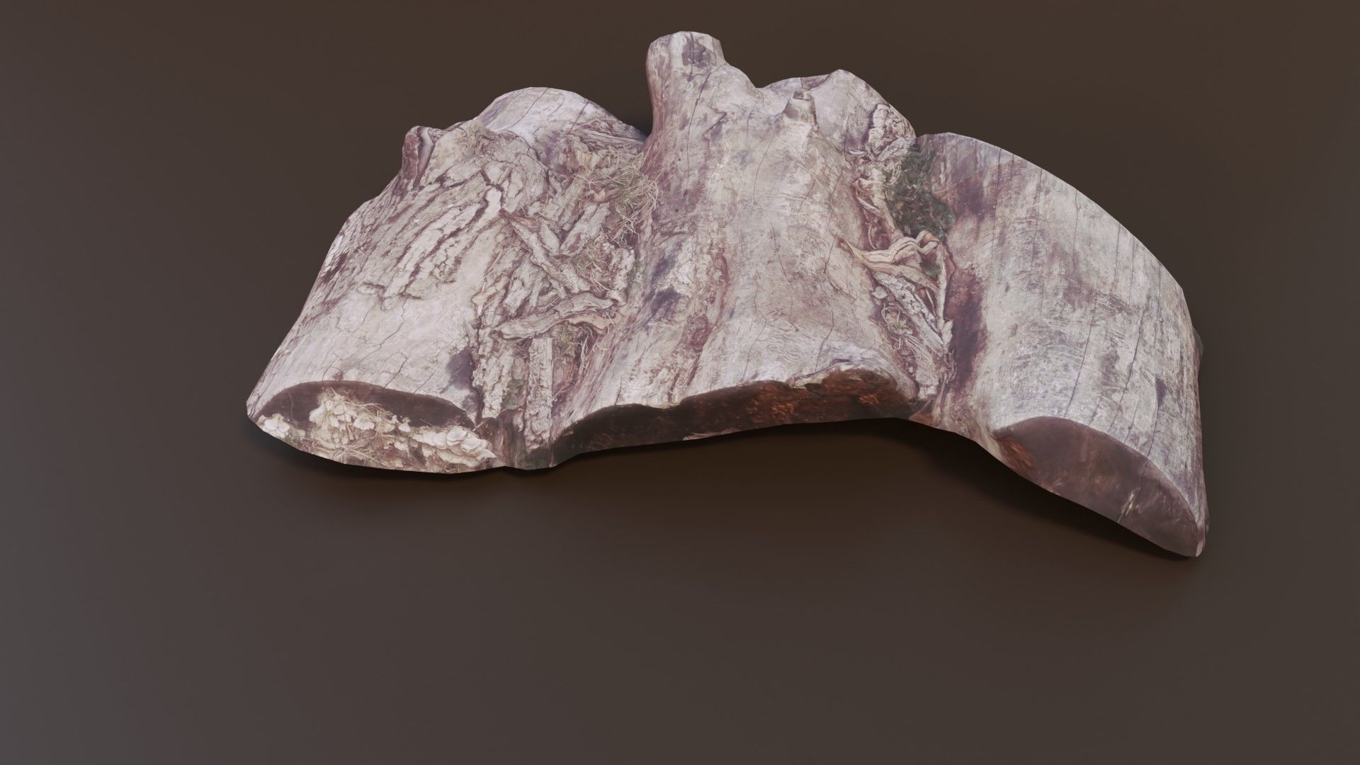 Rotten Logs Low-poly 3D model_6