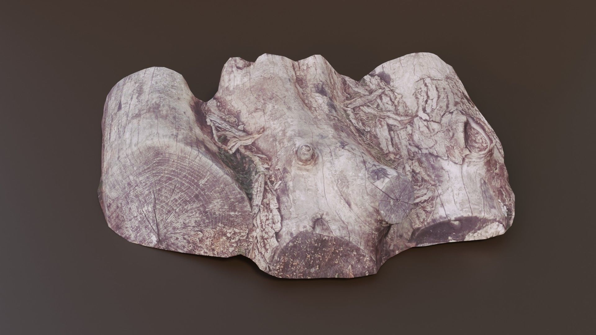 Rotten Logs Low-poly 3D model_2